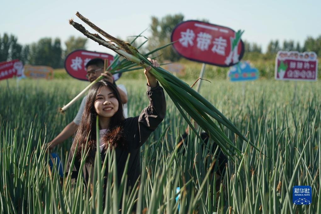 利记平台是哪的